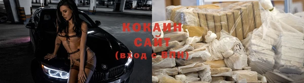 крисы Белоозёрский