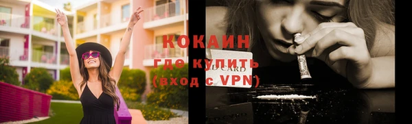 стаф Балахна