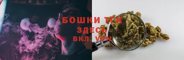 стаф Балахна