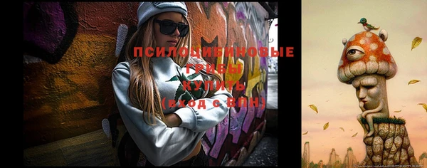 стаф Балахна