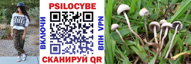 Галлюциногенные грибы мицелий  Буинск 